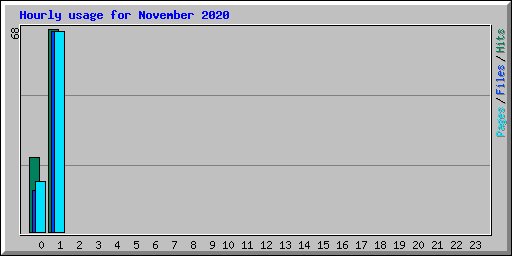 Hourly usage for November 2020